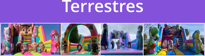 Terrestres
